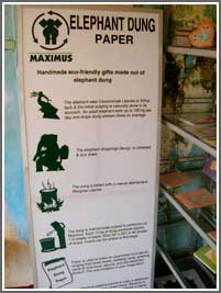 Carta in cacca d'elefante