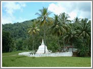 Turismo solidale Sri-Lanka