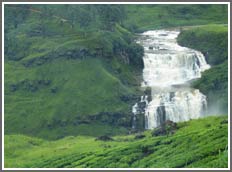 Cascata