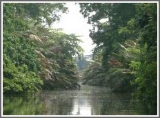 Escursione sul fiume