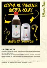 Catalogo Prodotti Araliya - pagina 21