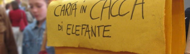 Carta in cacca di elefante