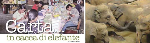 Carta in cacca di elefante