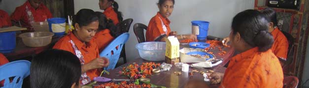 Araliya Community Company
