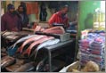 Turismo Solidale