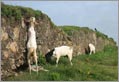 Turismo Solidale