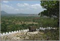 Dambulla Turismo Responsabile