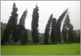 Kandy - Responsible Tourism