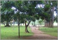 Kandy - Responsible Tourism