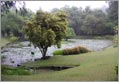 Kandy - Responsible Tourism