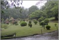 Kandy - Responsible Tourism
