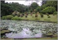 Kandy - Responsible Tourism