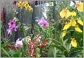 Kandy - Responsible Tourism