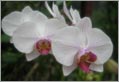 Kandy - Responsible Tourism