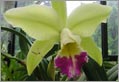 Kandy - Responsible Tourism