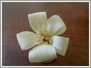 NUOVO fiore in mais