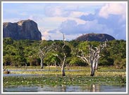 Yala West National Park