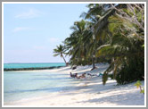 Maldive