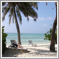 Maldive
